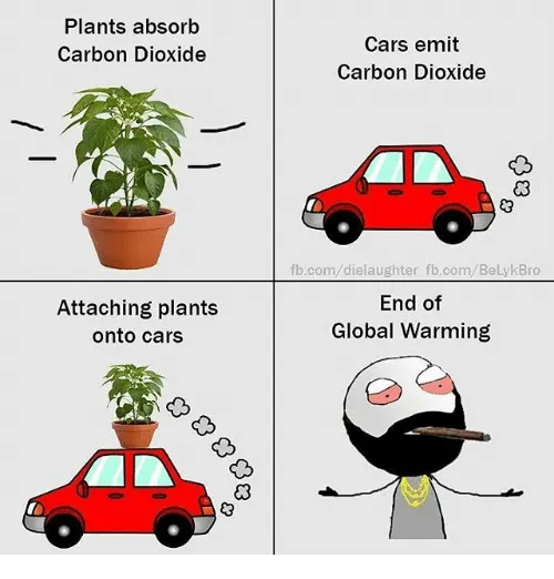 plants-absorb-carbon-dioxide-attaching-plants-onto-cars-cars-emit-12836497.png