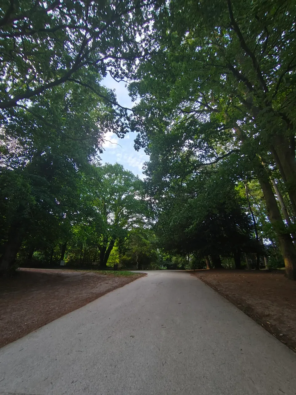 uHvApOpGYcZbgNEl_1000003173.webp