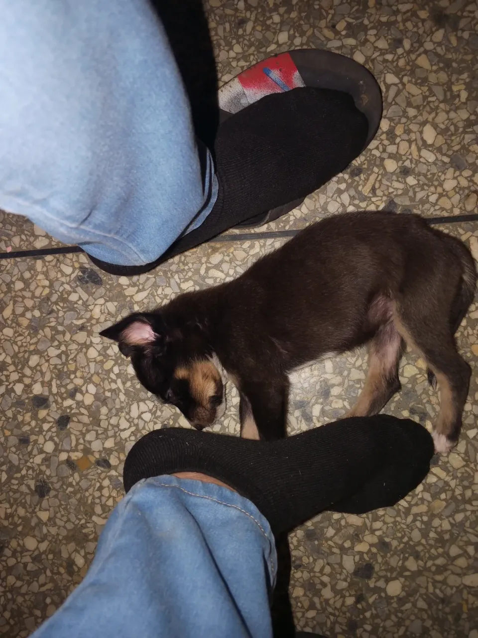 KMbbjppHNot7JlVY_1000203662.webp