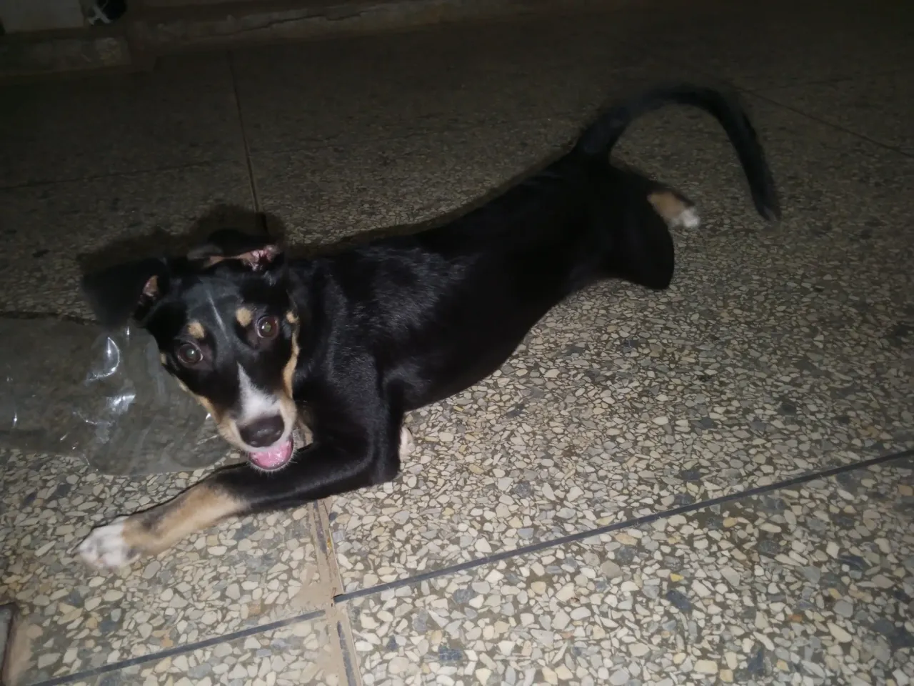 Twklnn86Zz019M6u_1000508722.webp