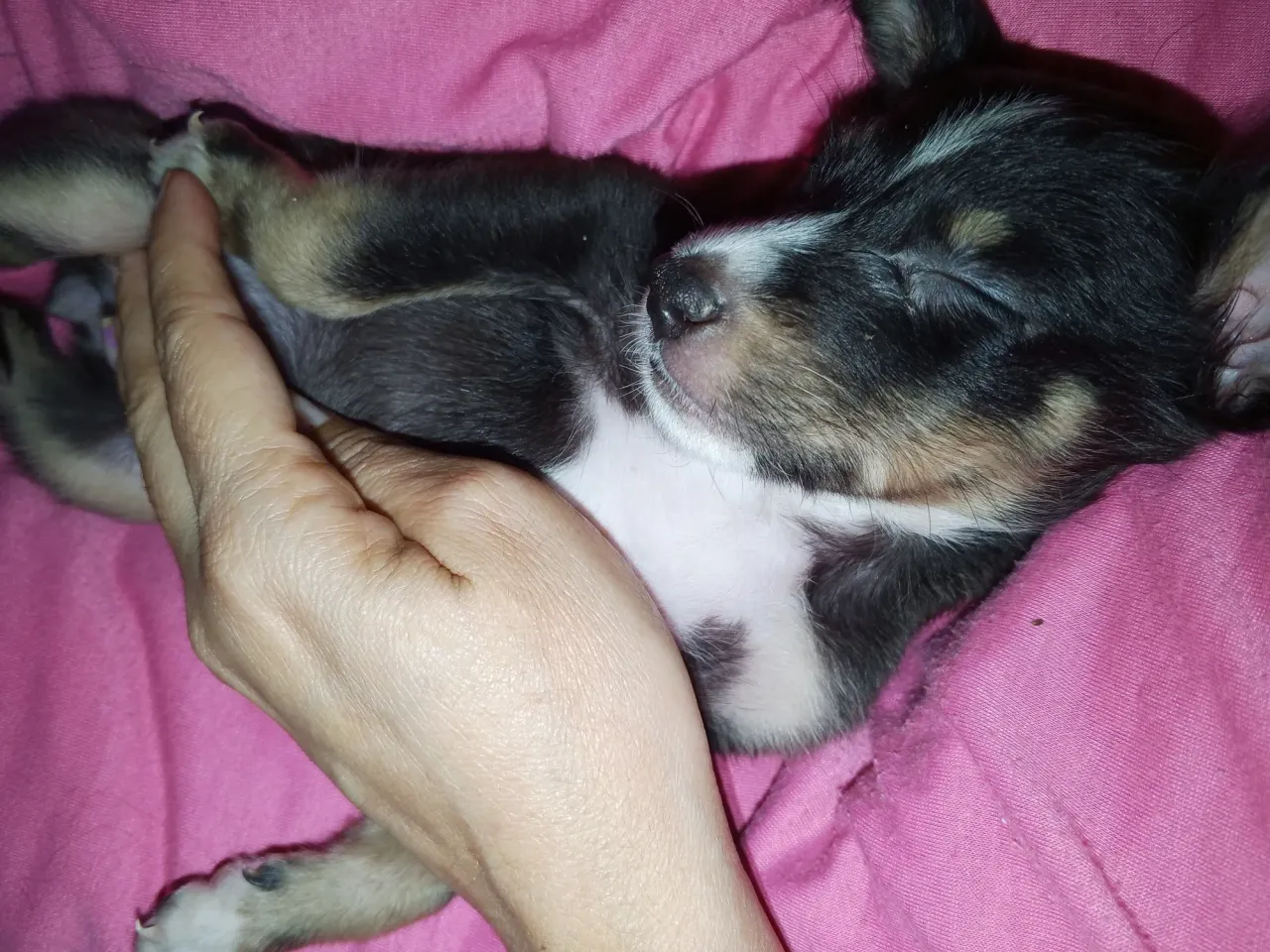 YqnIhBln7Ji4LDSw_1000217036.webp