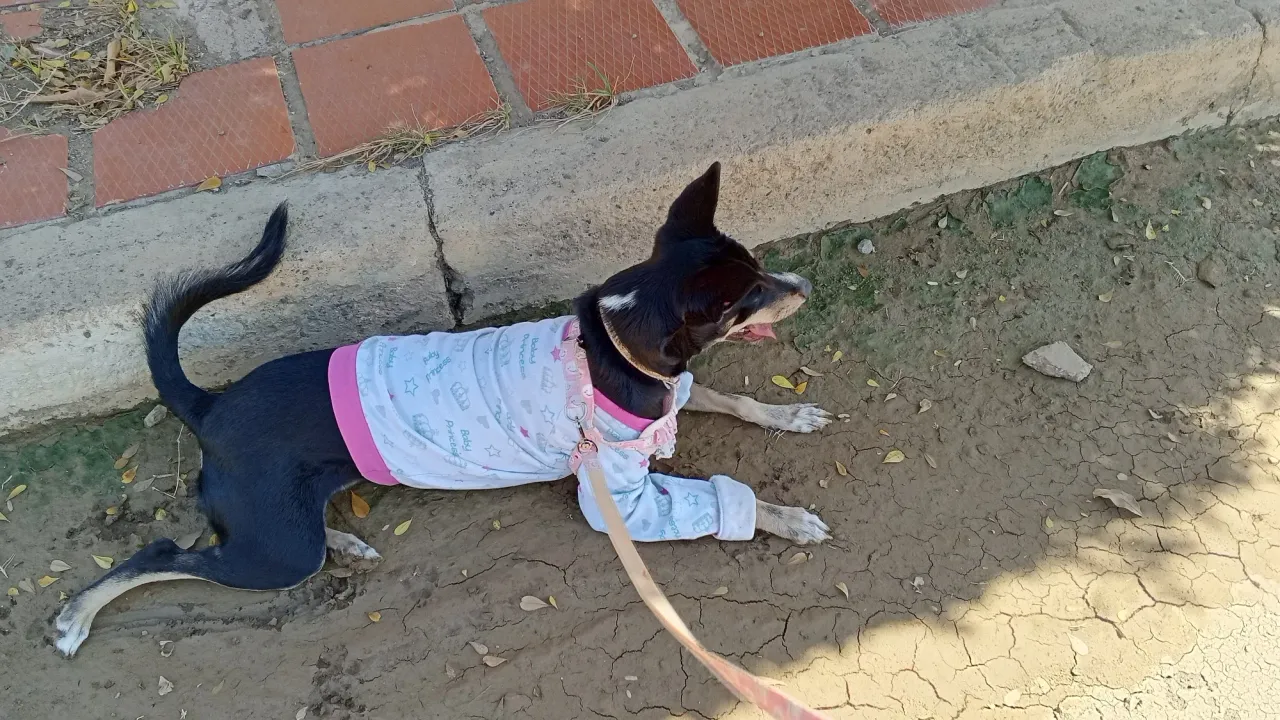 l0CdCawPZHsVGX0t_1001311865.webp