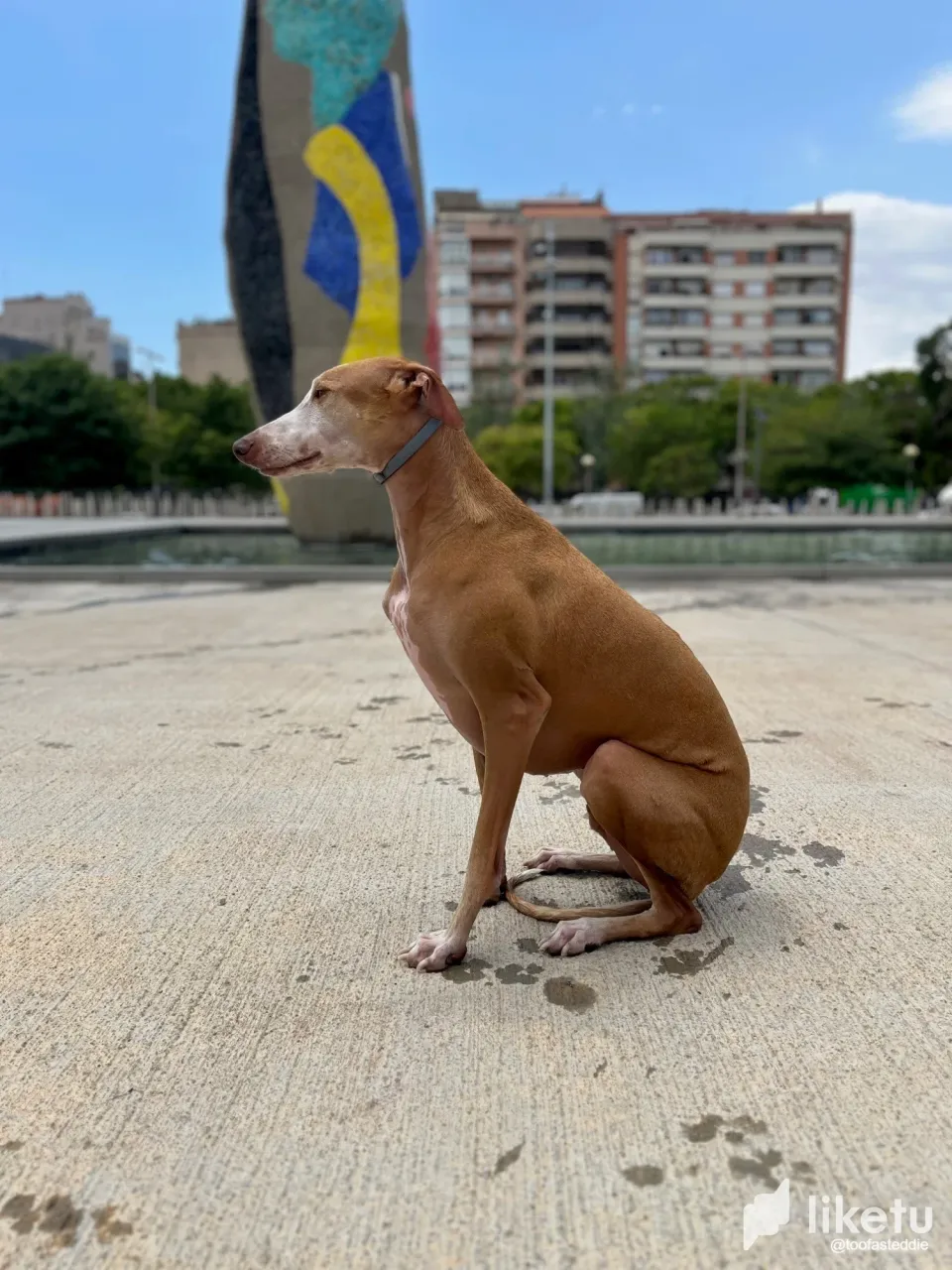 cljolo48f01q22rszdev38dwz_m1.webp