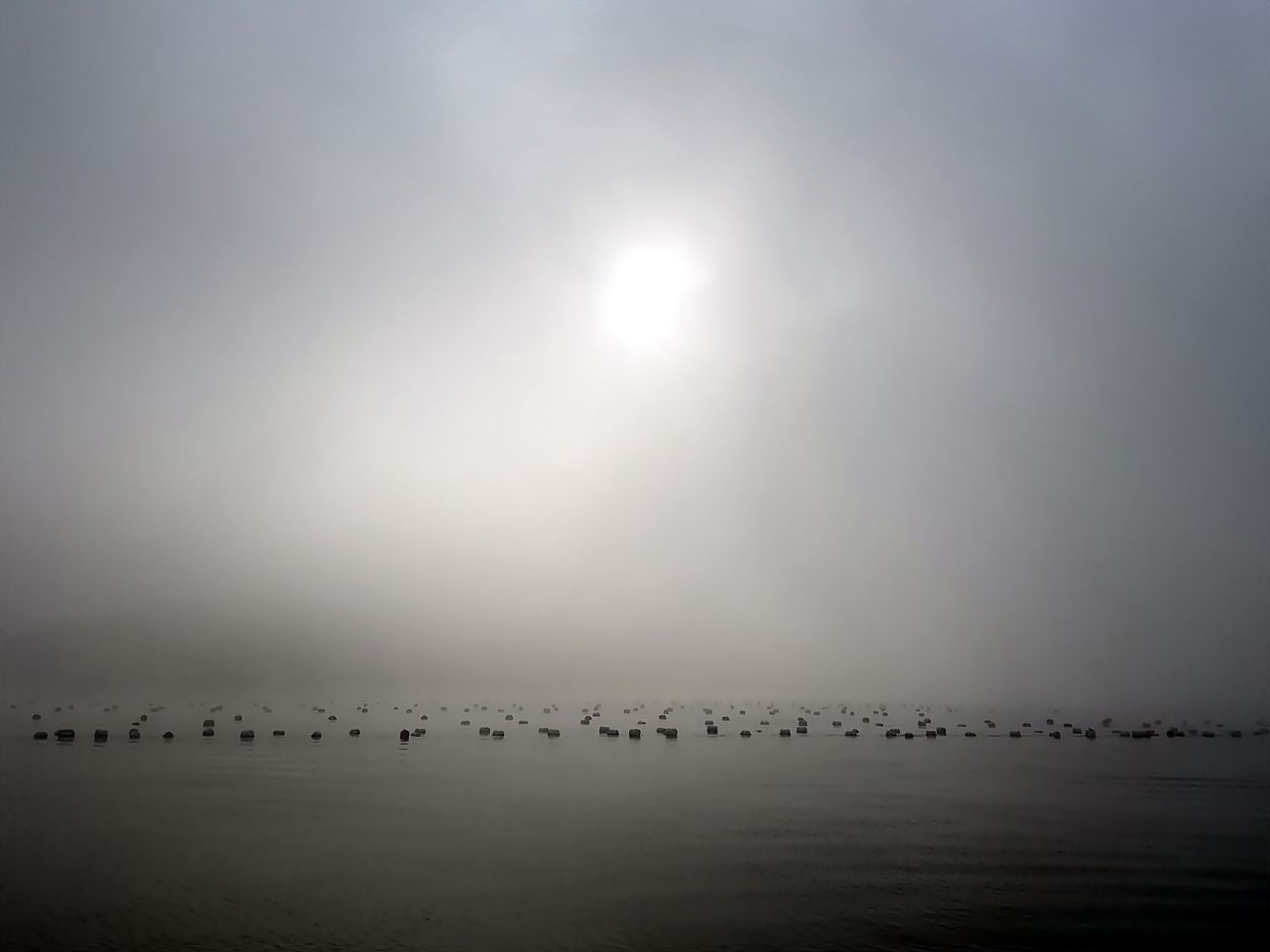 [크기변환]20181125_092730.jpg