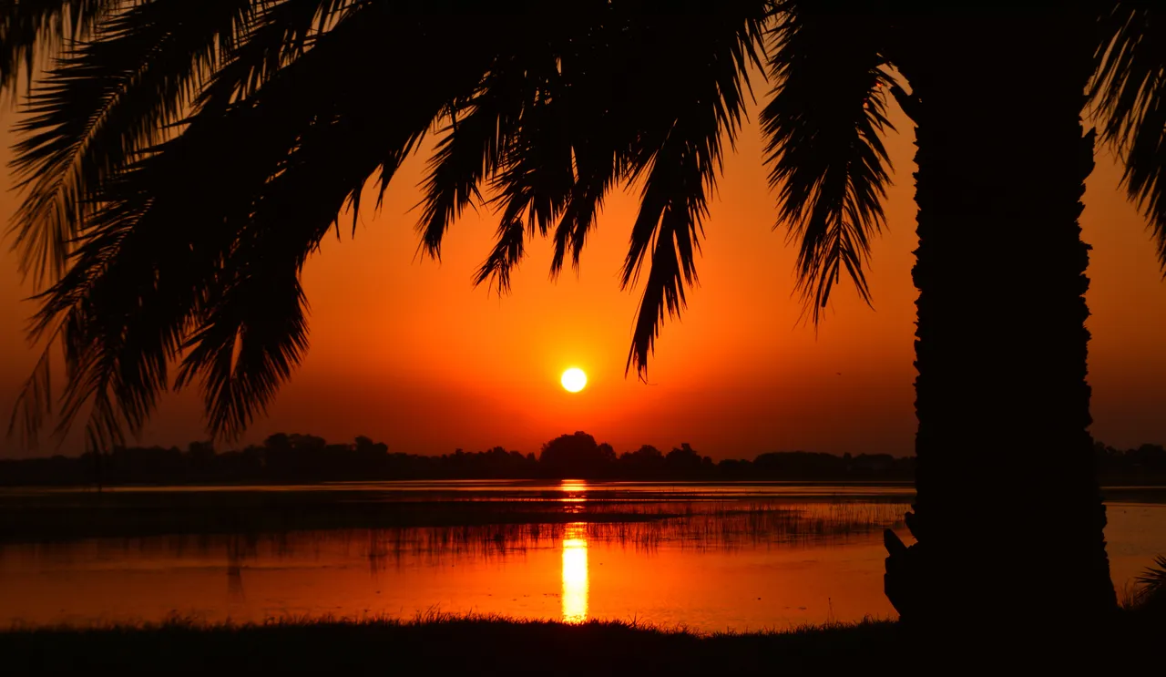 backlit-calm-clear-sky-373447.jpg