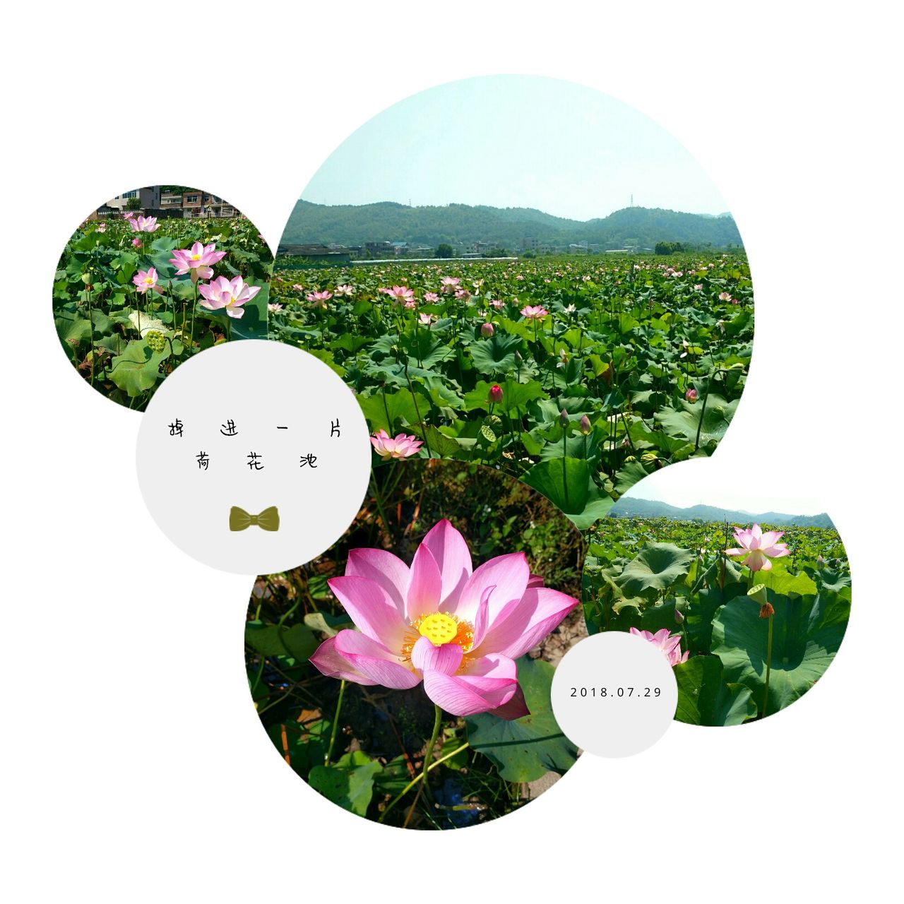 april_2018-07-29-11-35-58-925.jpg