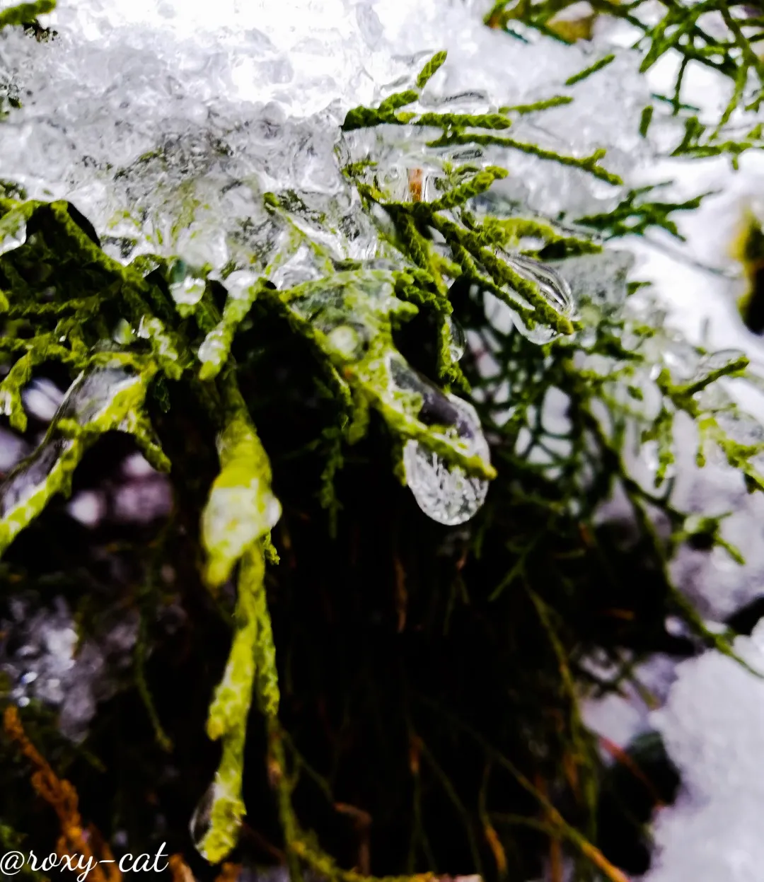 WaterMark_2018-12-23-22-19-35.jpg