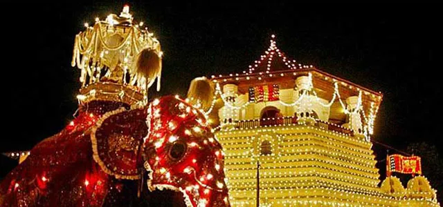 a-events-kandy-esala-perahera.jpg