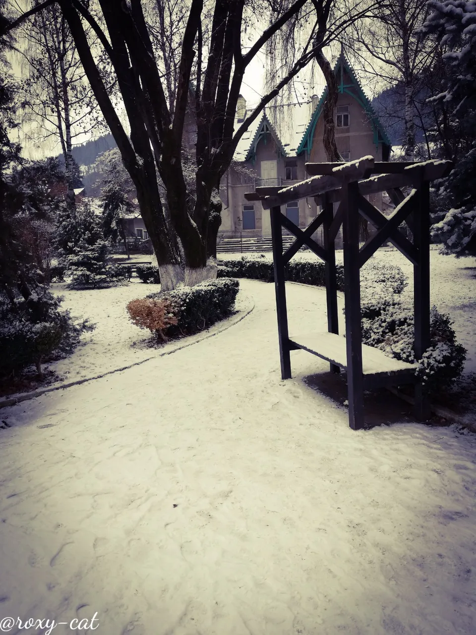 WaterMark_2018-12-16-19-17-33.jpg