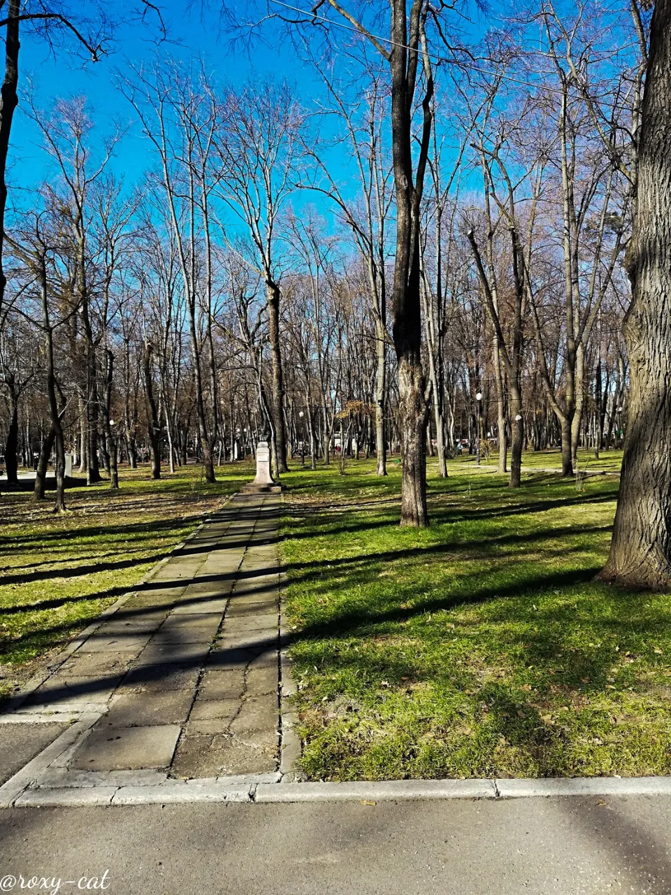 WaterMark_2019-02-17-21-41-12.jpg