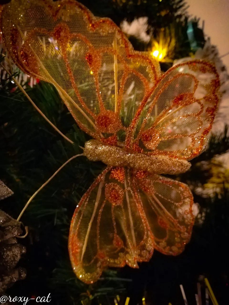 WaterMark_2018-12-23-22-18-58.jpg