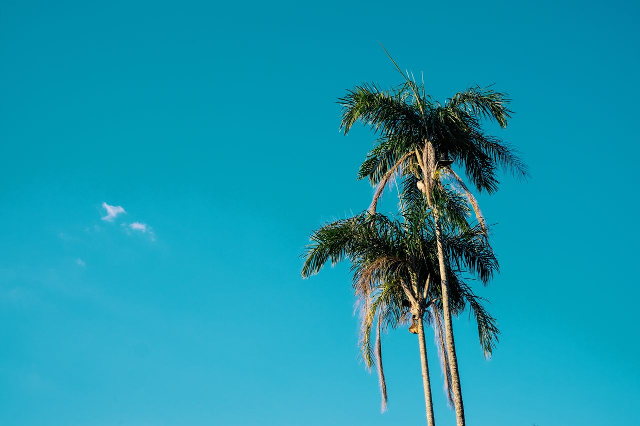 brunno-tozzo-1359088-unsplash.jpg