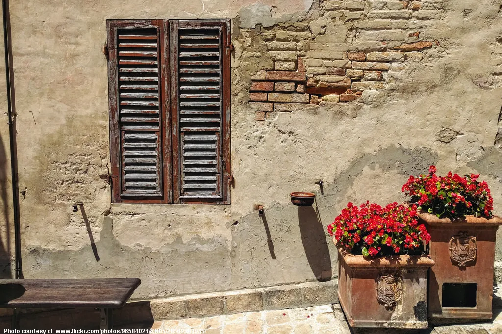 WallShuttersAndFlowers-072716.jpg