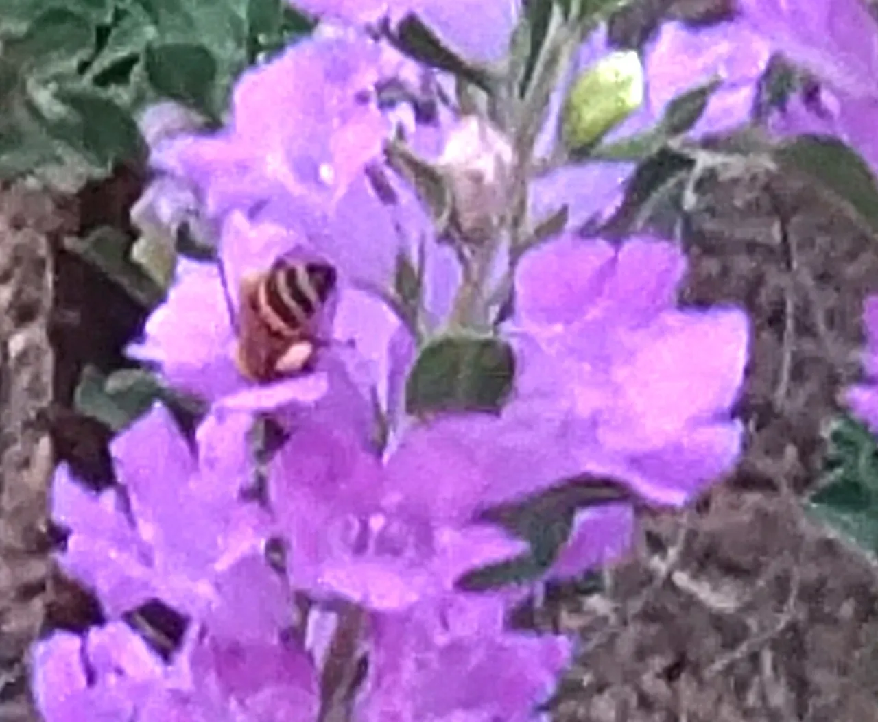 P_20180930_094231_vHDR_Auto_1.jpg