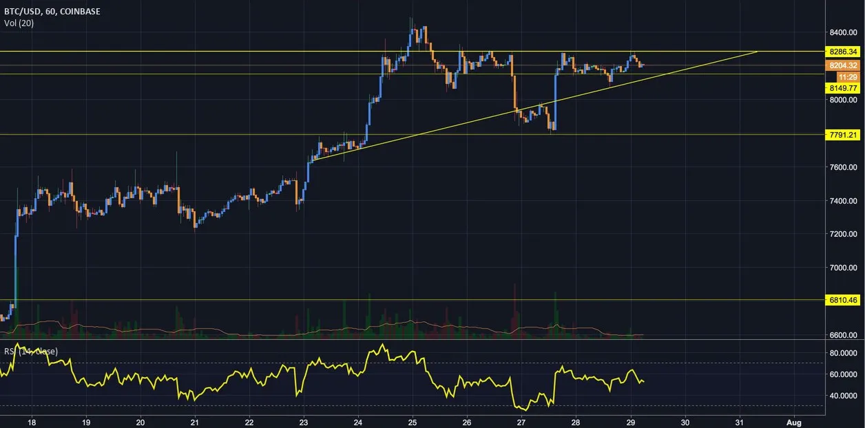 Yellow Trading Zone180729.jpg