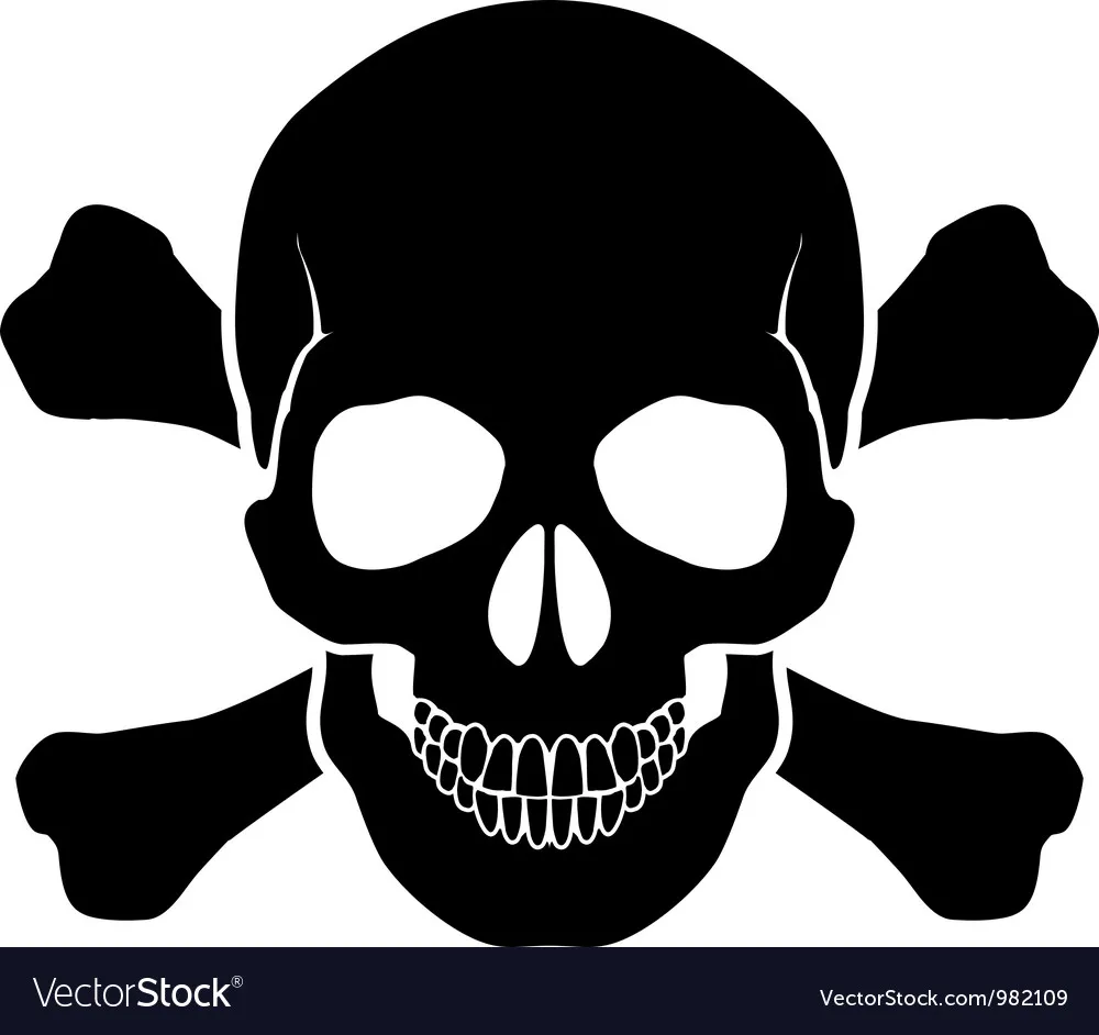 skull-and-bones-vector-982109.jpg