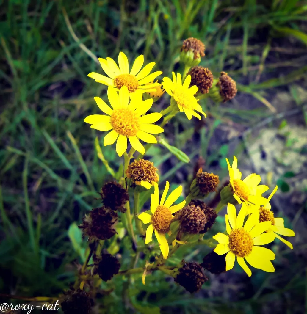 WaterMark_2019-01-27-16-27-29.jpg