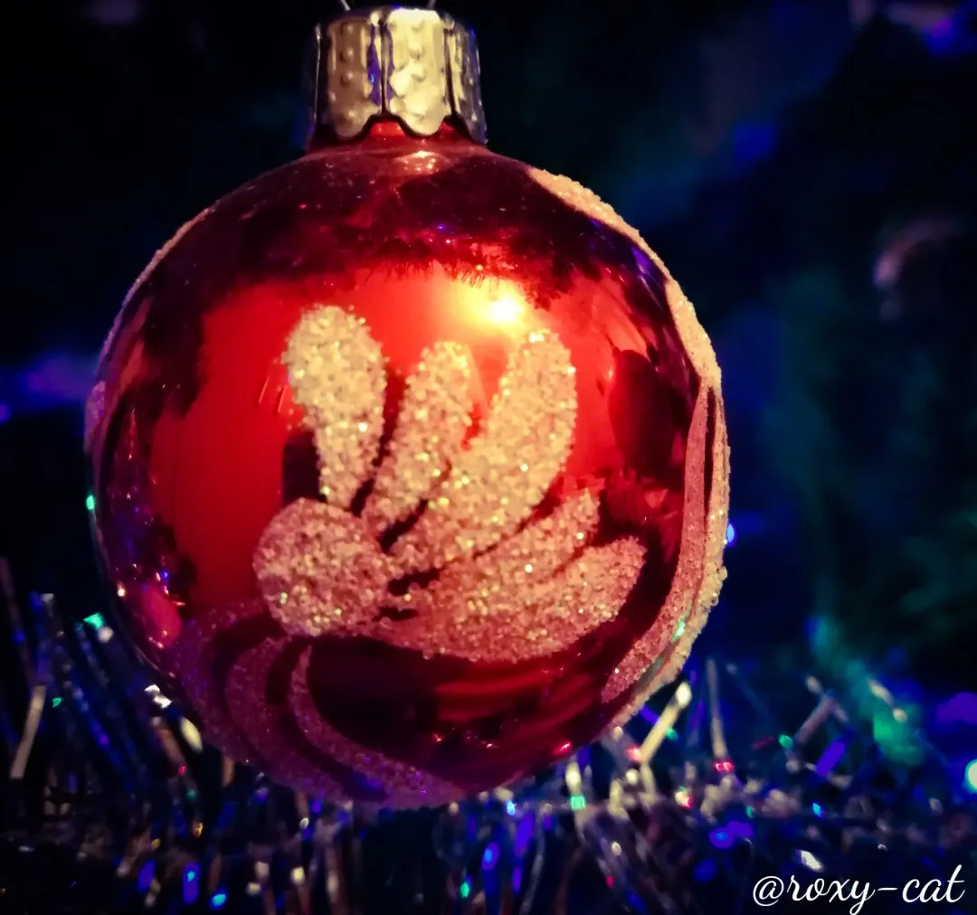 WaterMark_2018-12-23-22-19-23.jpg