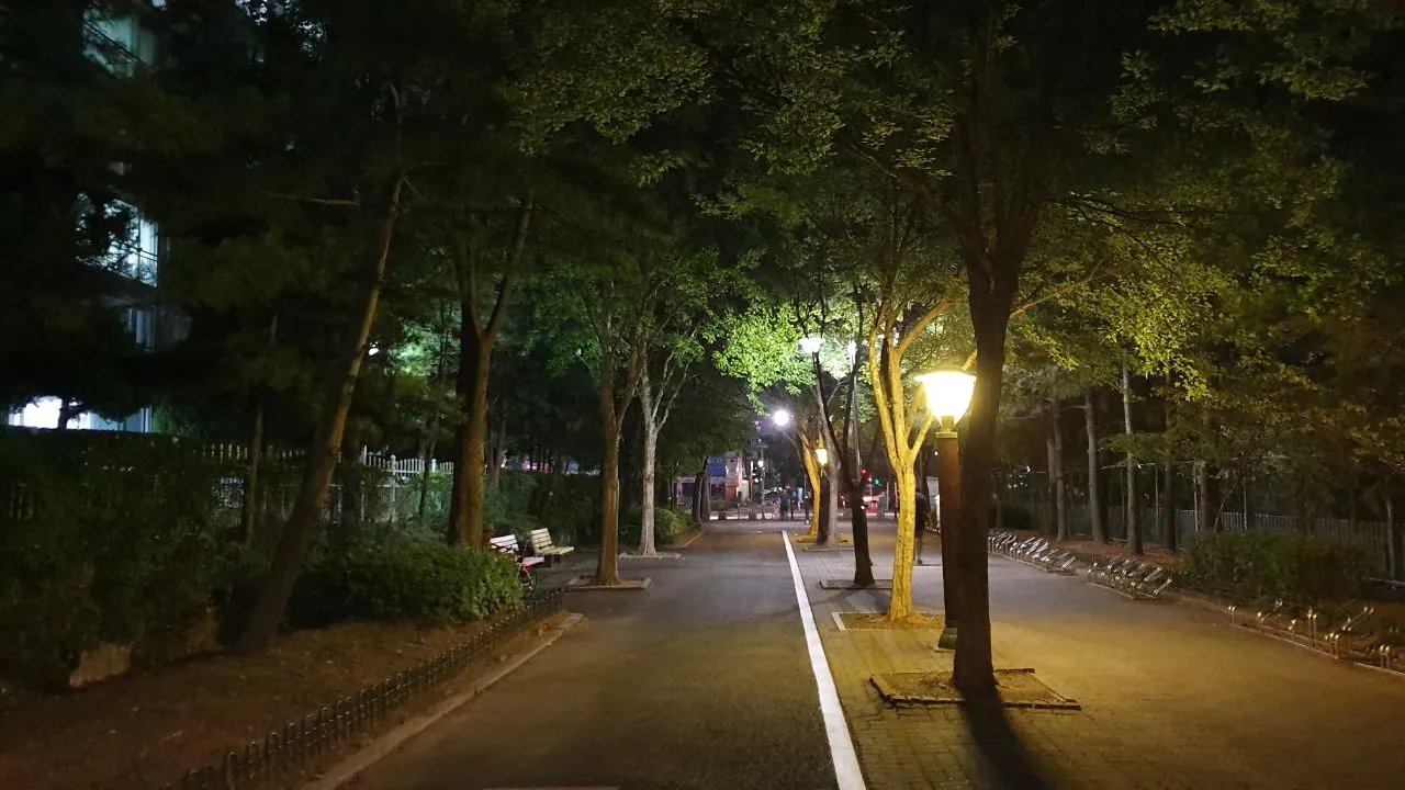 IMAGE 2019-07-09 22:19:23.jpg