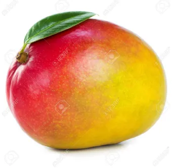 MANGO   Google Search.png