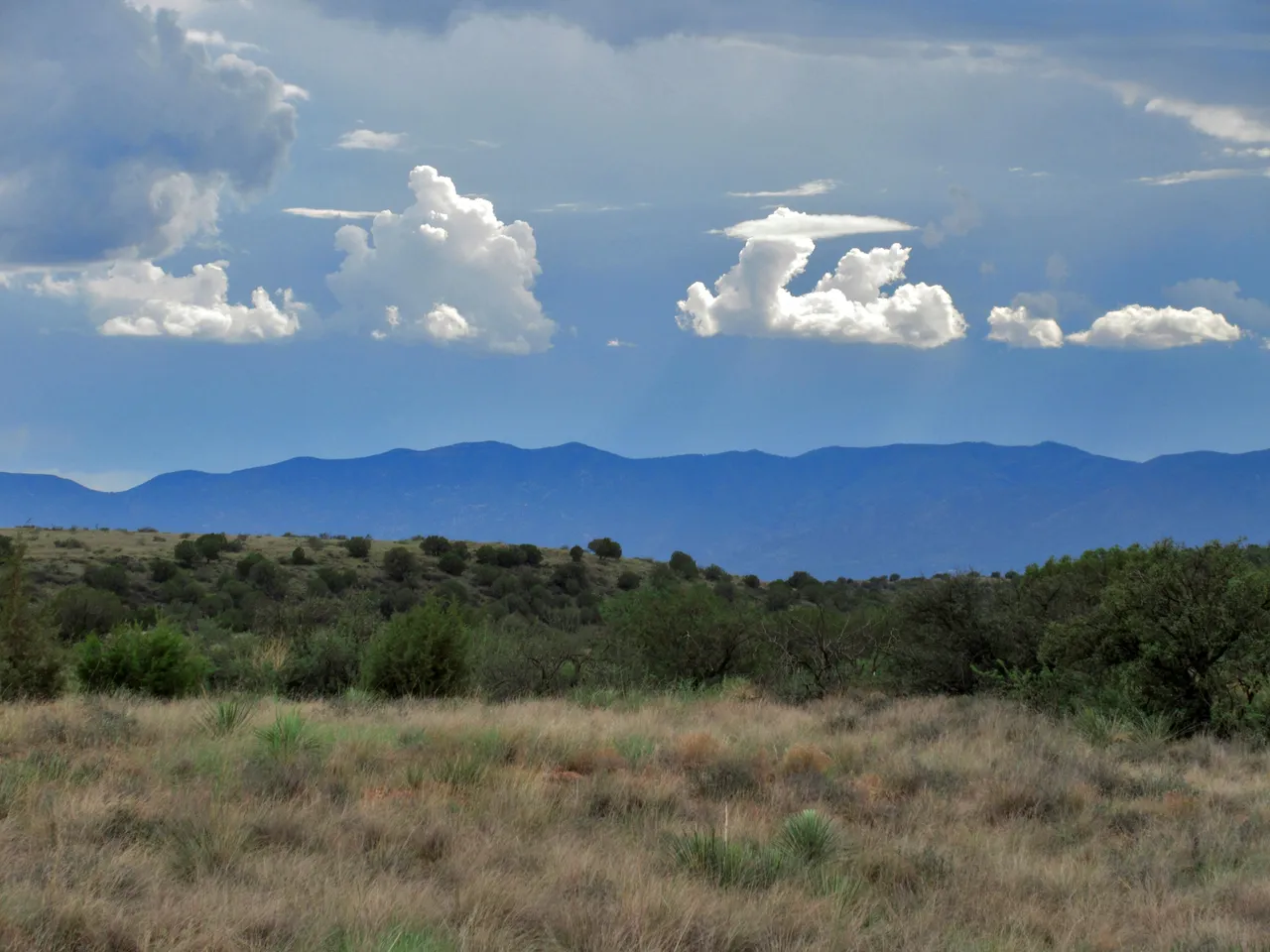 IMG_0551mingus clouds 7x9.jpg