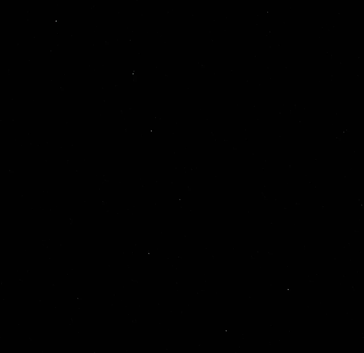 ursa major clearly seen.jpg