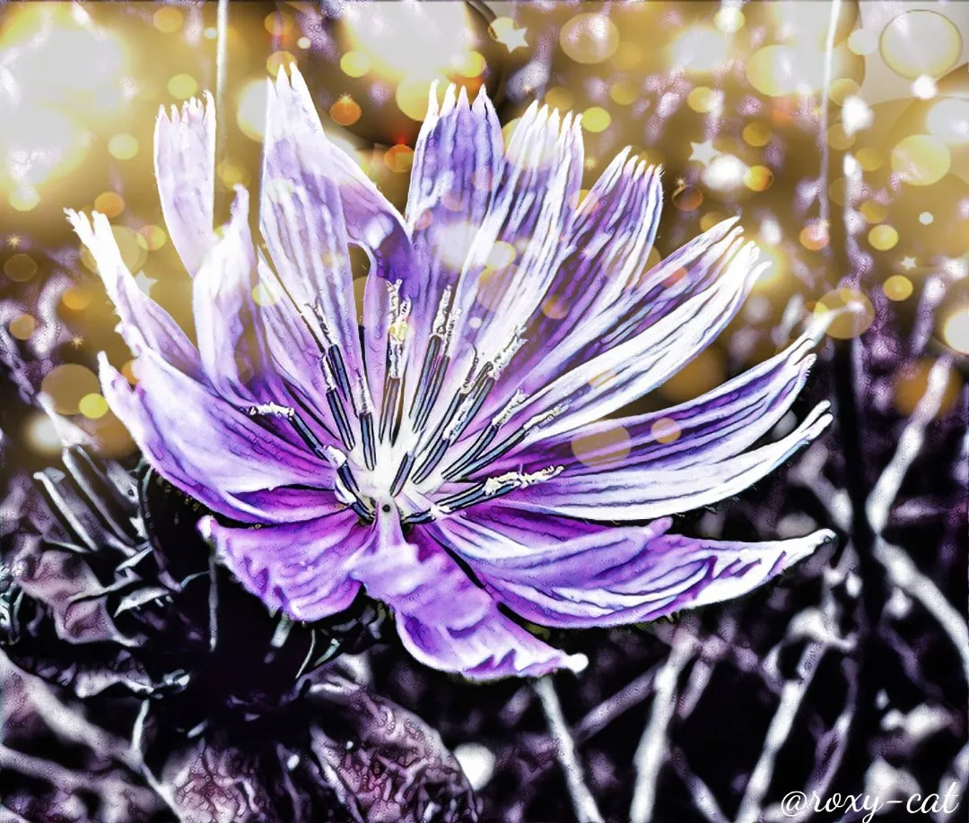 WaterMark_2019-01-27-16-35-29.jpg