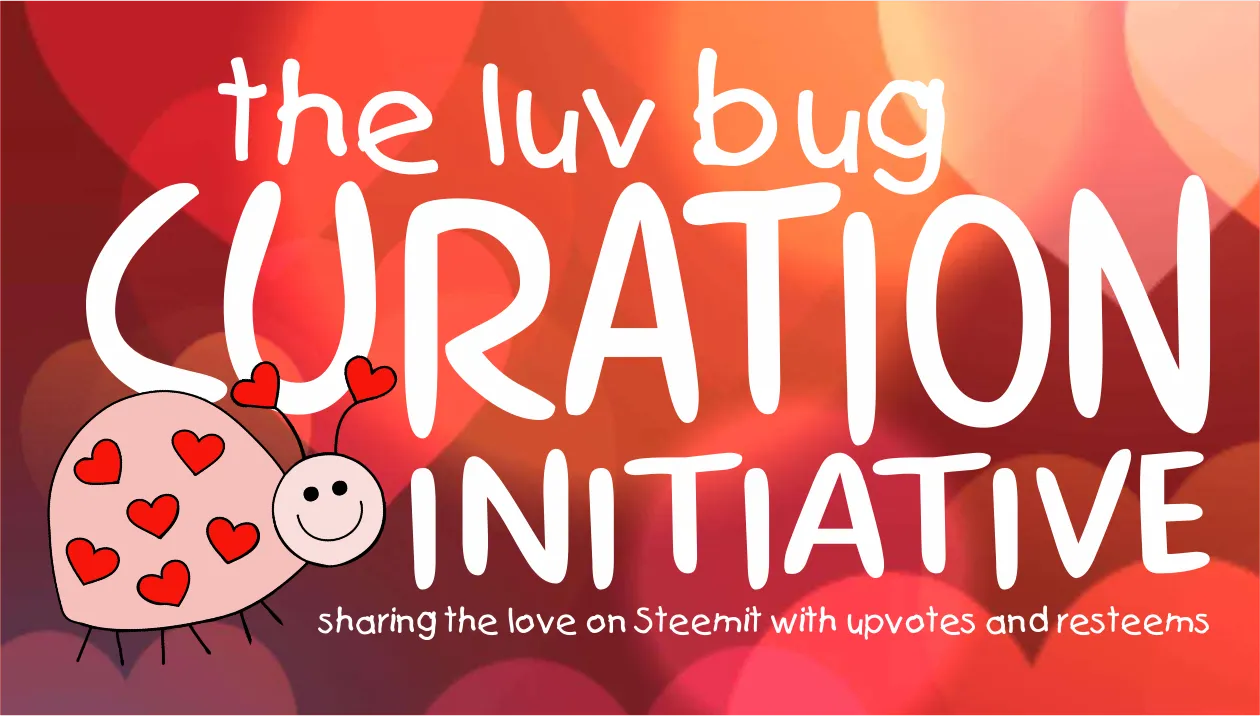 curation header wednesday.png