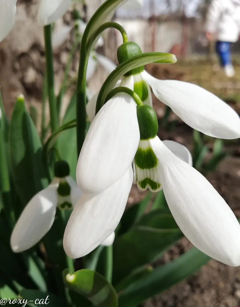 WaterMark_2019-03-10-18-03-03.jpg