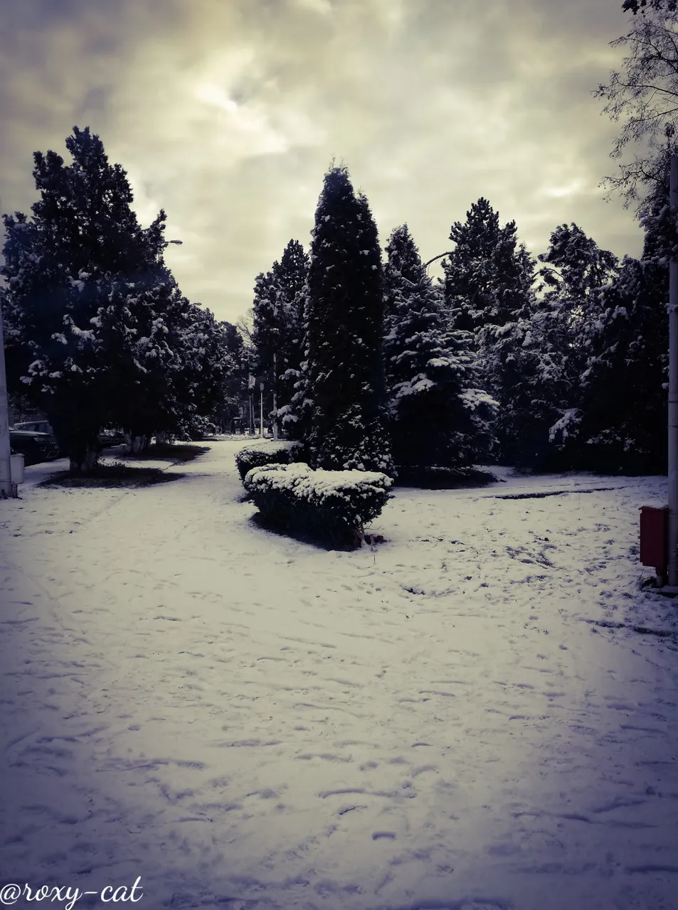 WaterMark_2018-12-16-19-18-03.jpg