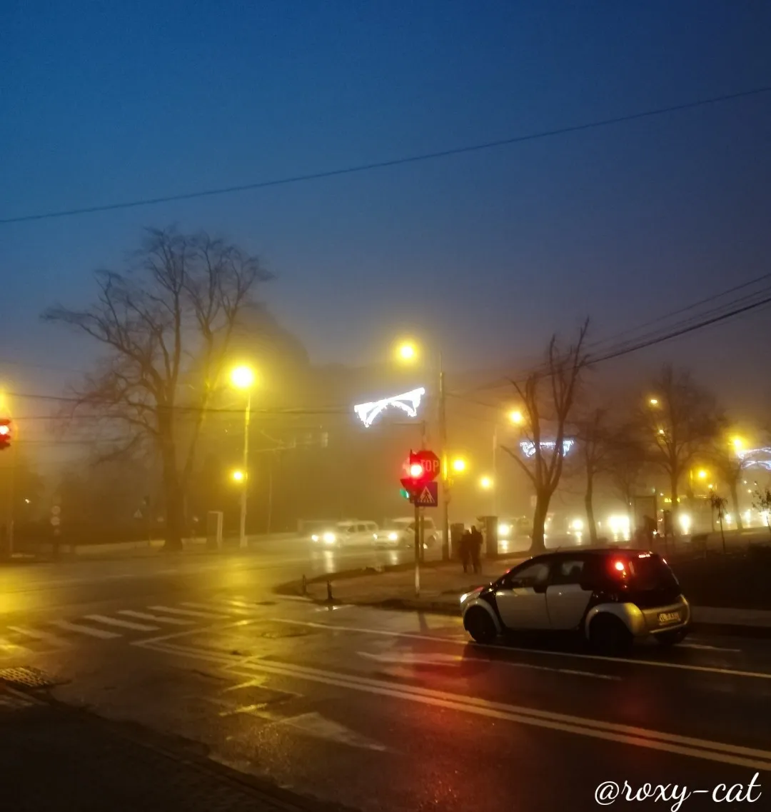 WaterMark_2018-12-09-18-04-12.jpg