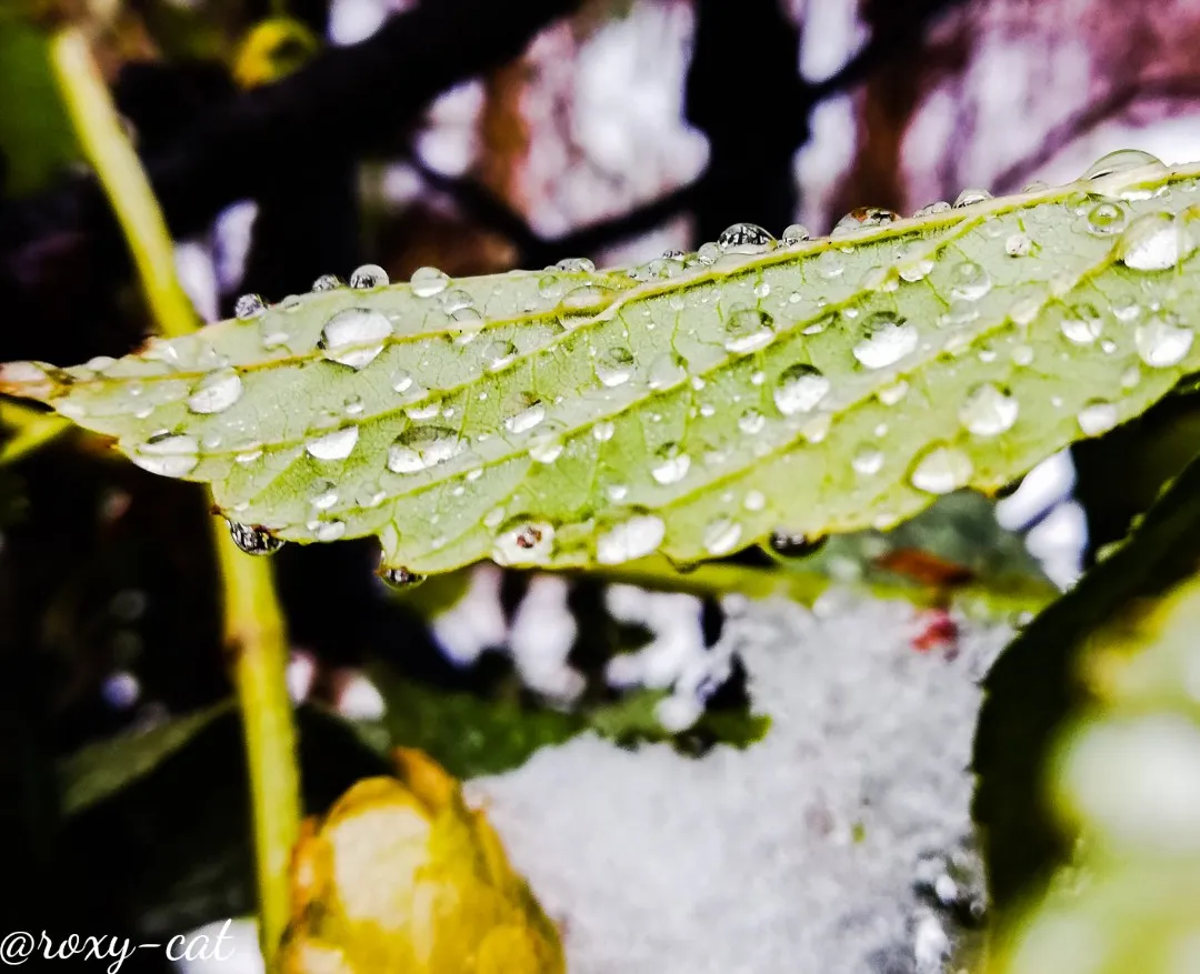 WaterMark_2018-12-02-17-34-25.jpg