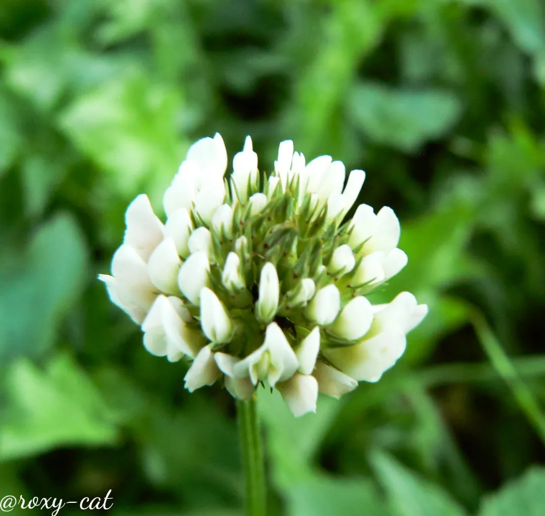 WaterMark_2019-01-27-16-27-11.jpg