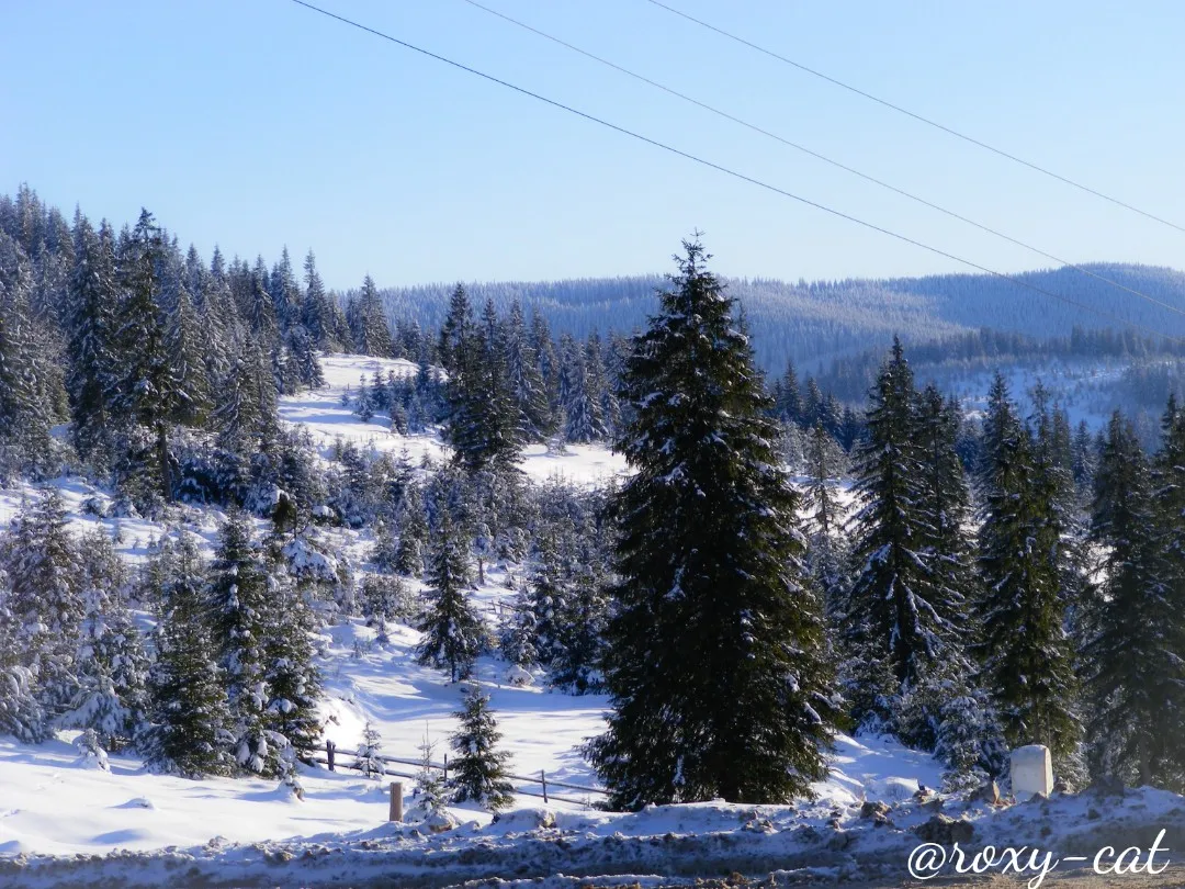 WaterMark_2018-11-18-16-20-16.jpg