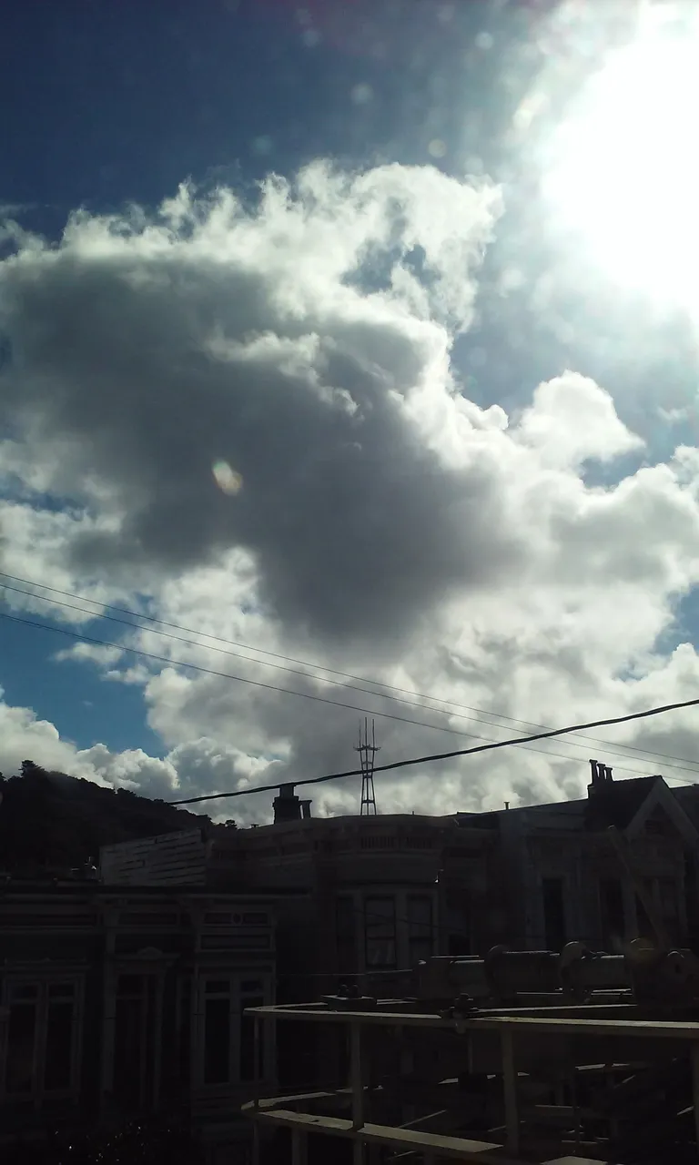 20190308_144006[1], rotated.jpg