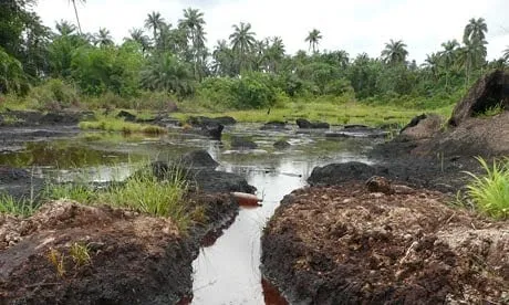 The-impact-of-an-oil-spil-006.jpg