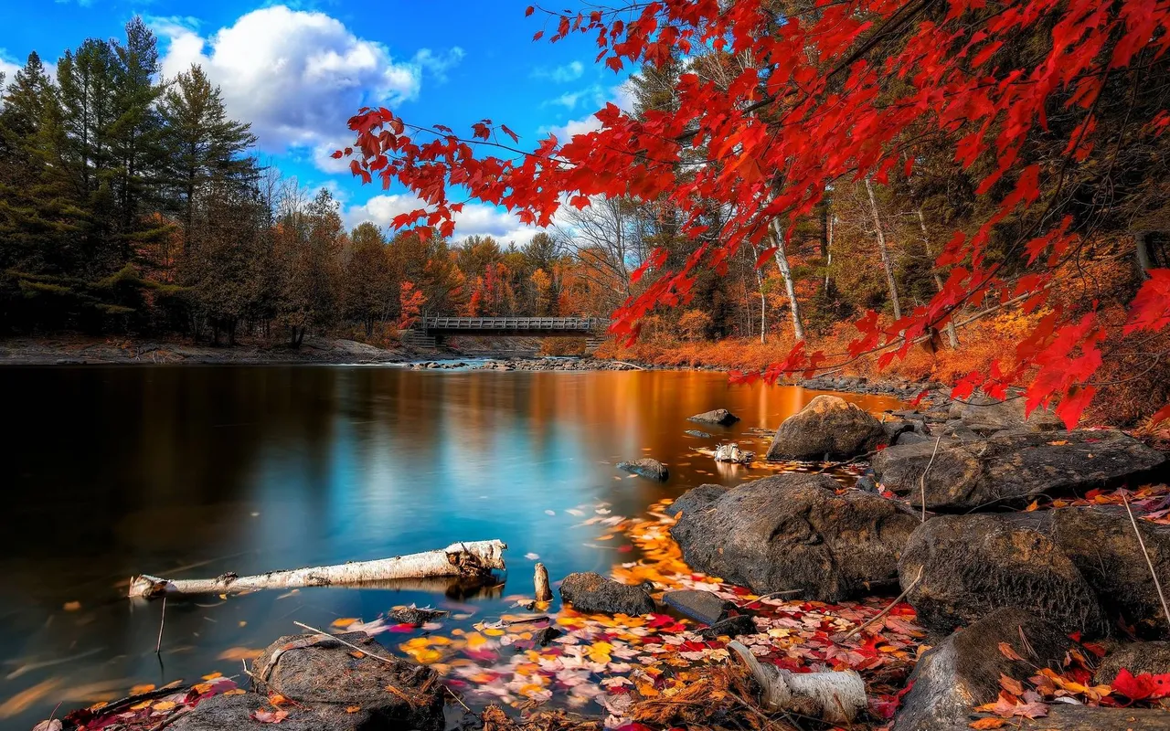 IXS6fGS-nature-fall-wallpaper.jpg