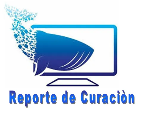 REPORTE DE CURACION PNG.PNG