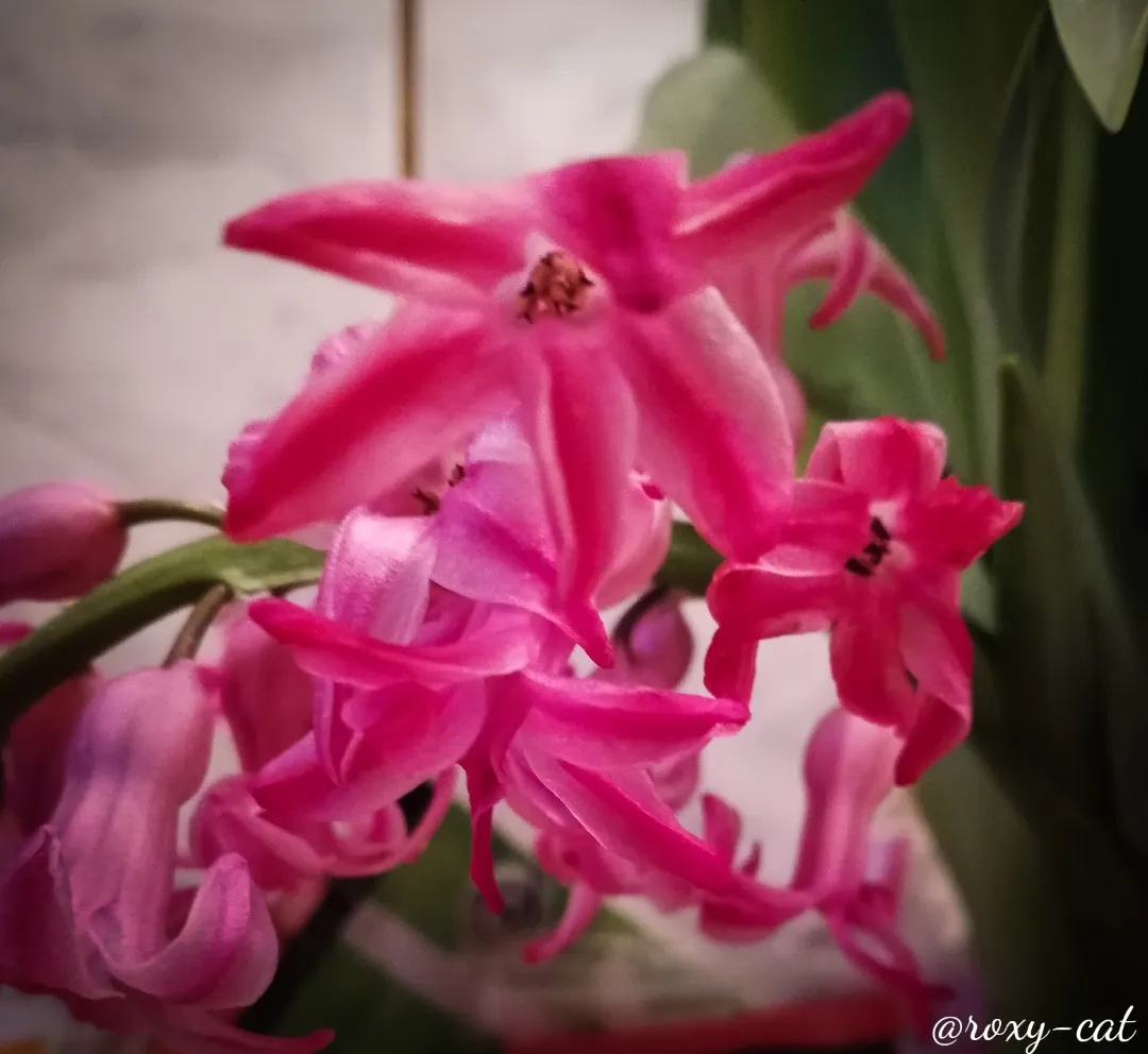 WaterMark_2019-03-10-18-02-08.jpg