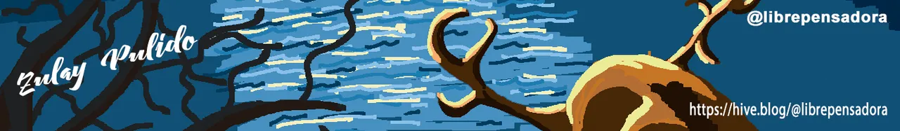 238_My_Pixelart_Forrest_01092020_Cintillo.png