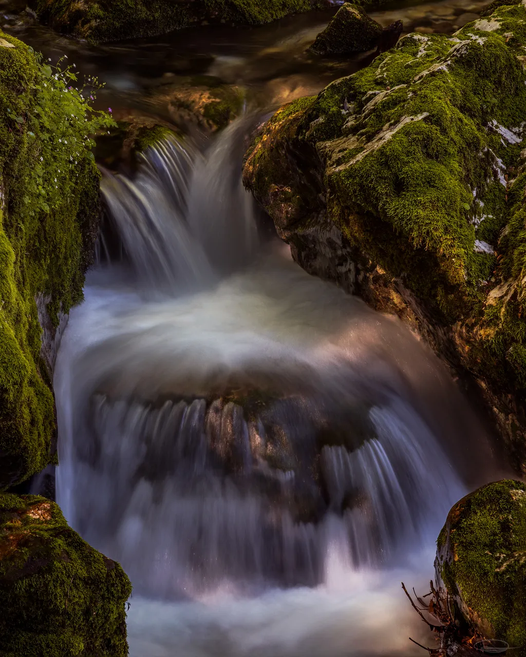 Small Waterfall in Šunikov vodni gaj, Lepena Valley - Slovenia