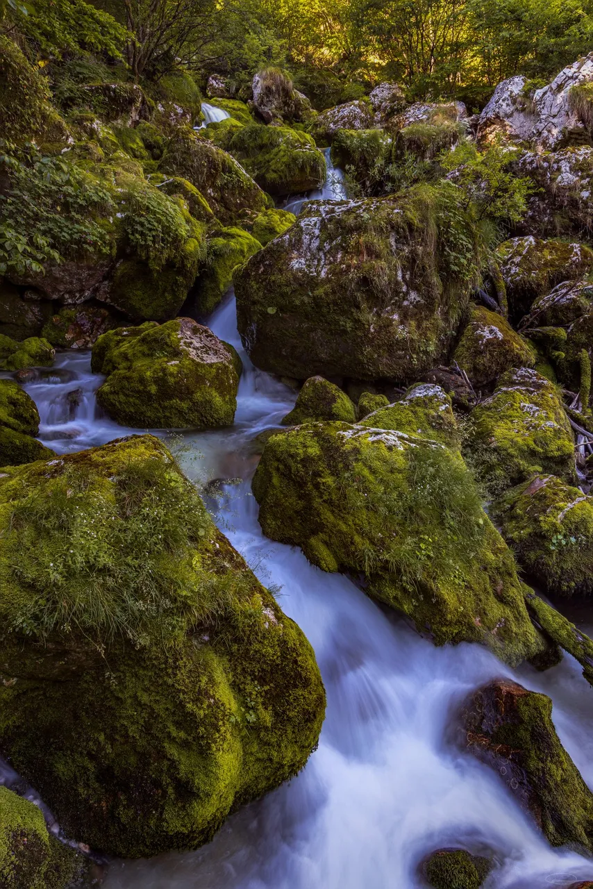 Stream in Sunikov Vodni Gaj, Slovenia