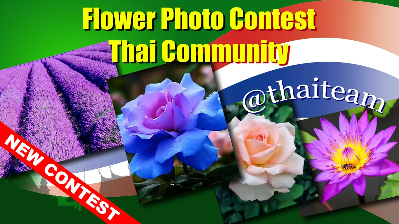 flower_photography_contest_n3_new.png