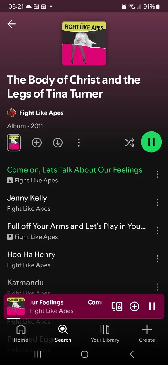 Screenshot_20250513_062137_Spotify.jpg