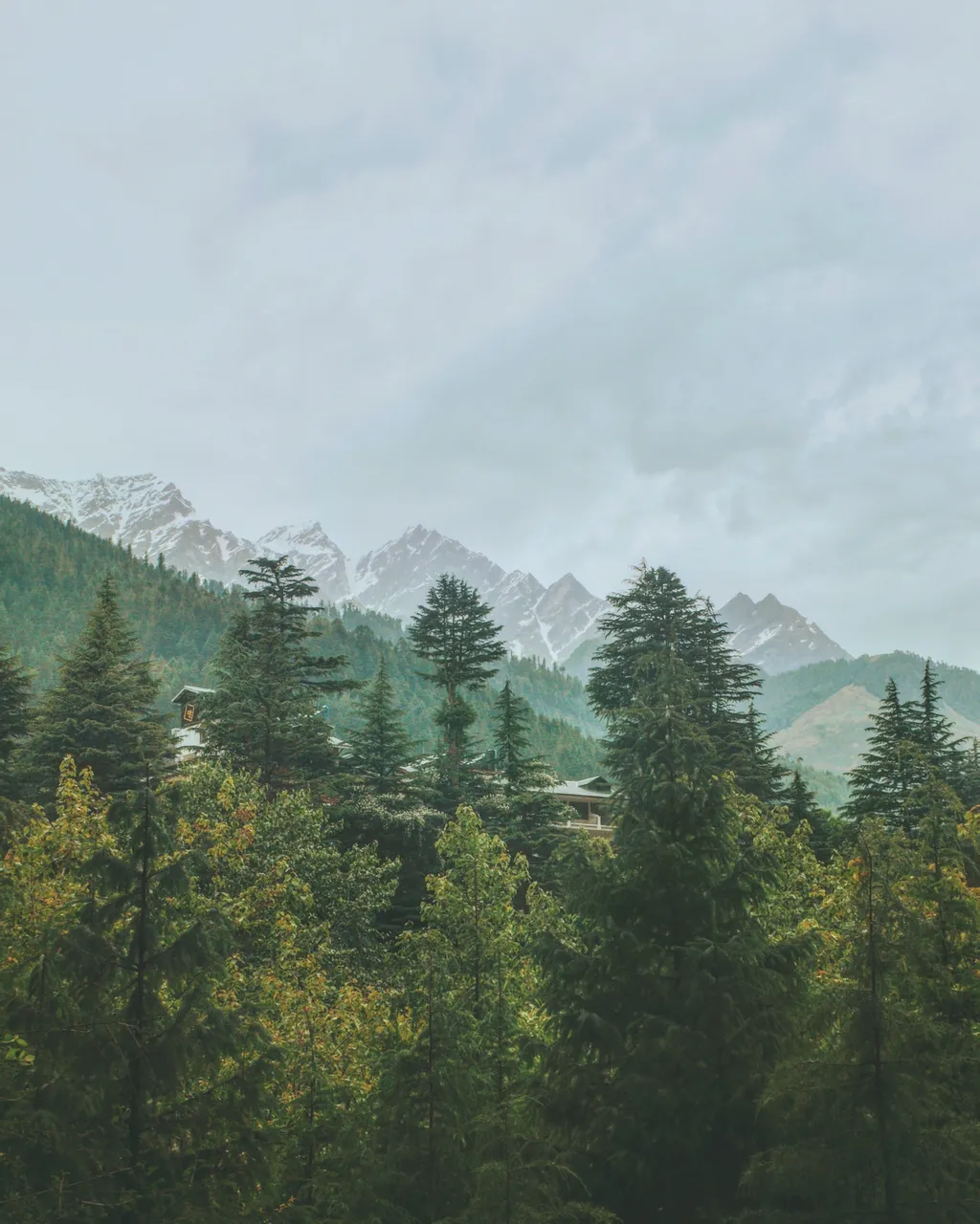 shruti-dadwal-xgOUqYBWMwg-unsplash.jpg
