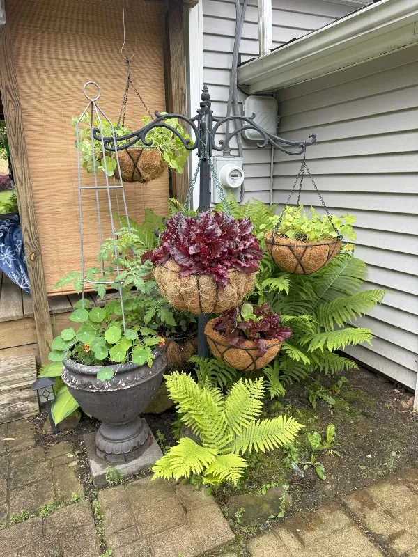 hivegarden-jhanging-basket-veggies.jpg