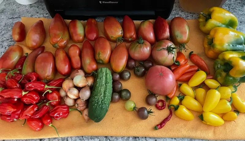 hivegarden-foodiesbeehive-harvest-.jpg