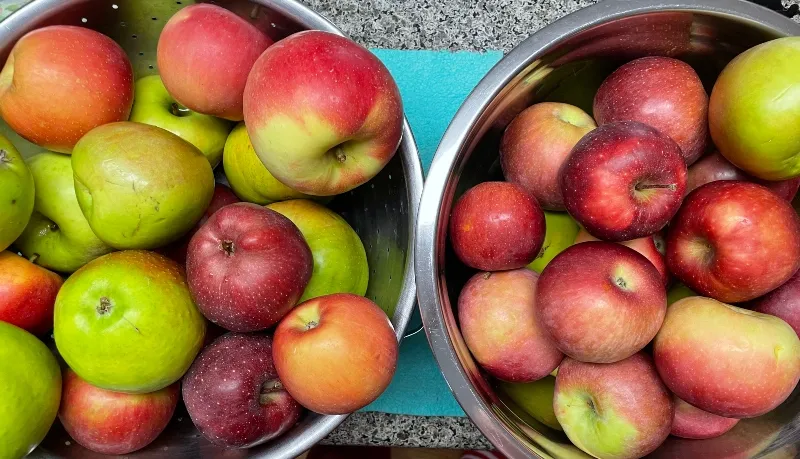 hivegarden-foodiesbeehive-apples-2.jpg
