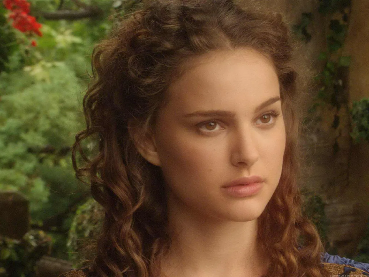 padme like jeanette whitaker.jpg