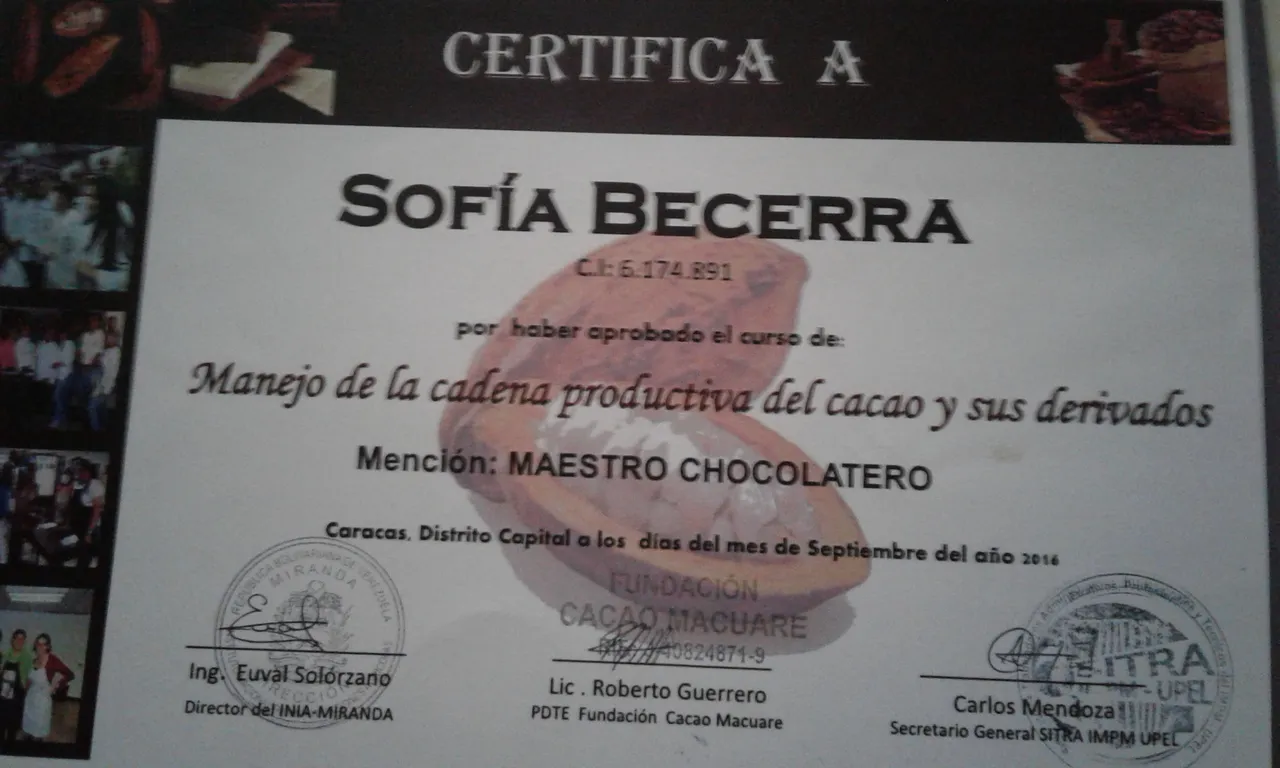 Certificado de Cacao Macuare.jpg